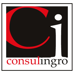 CONSULINGRO